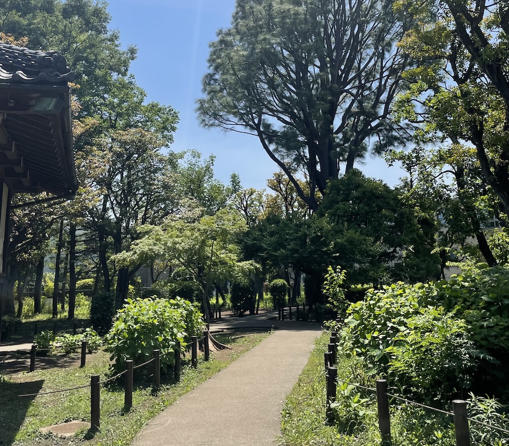 深沢の散歩道